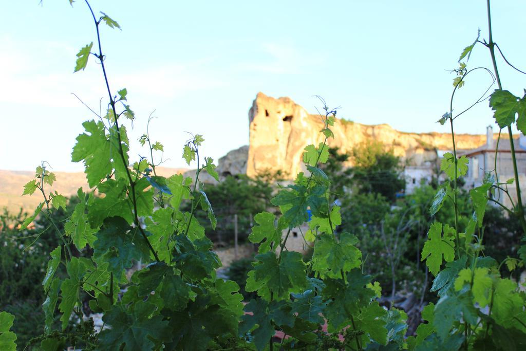 Отель Elif Stone House Ургуп